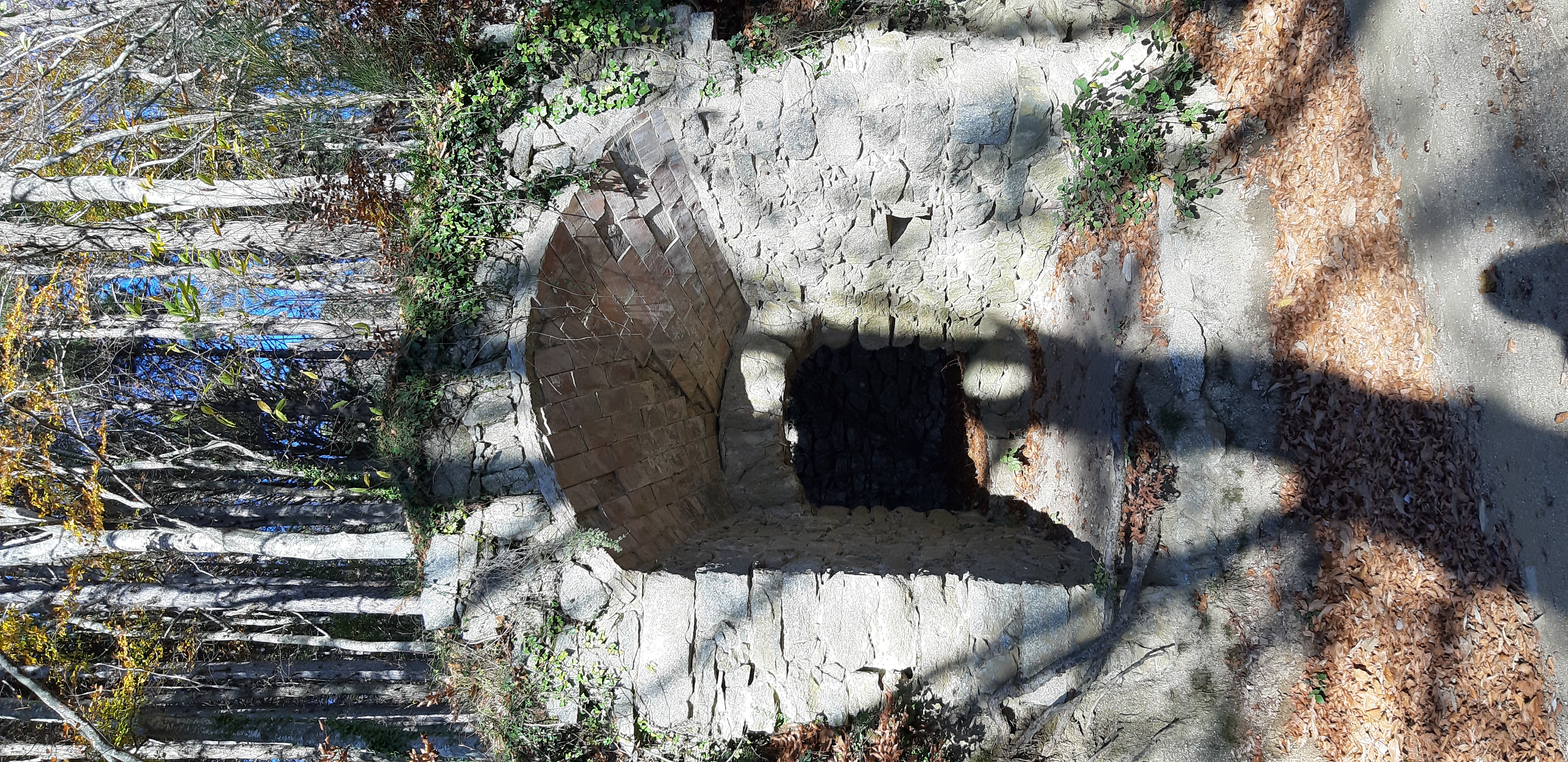 Forn de calç de la Forestal.